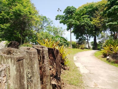 Parque Escola