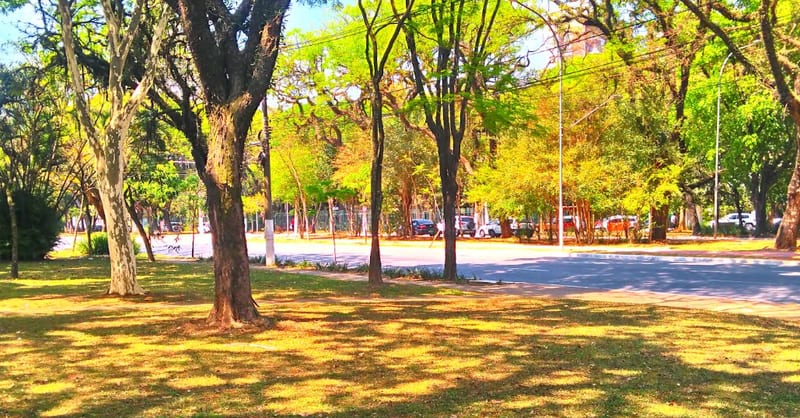 Foto 1 de Praça Ernani Braga