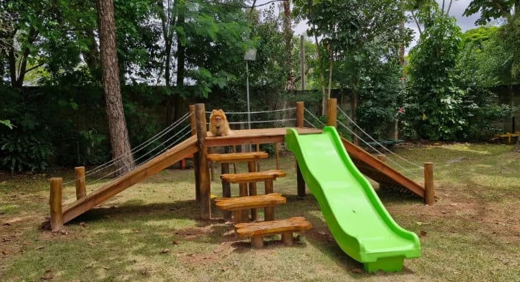 Área kids de Espaço Família Jundiaí Espaço pet