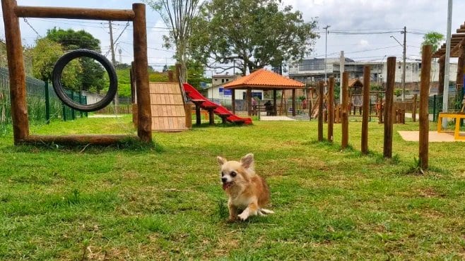 Área kids de Espaço Família Jundiaí Espaço pet