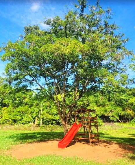 Área kids de Parque Curupira