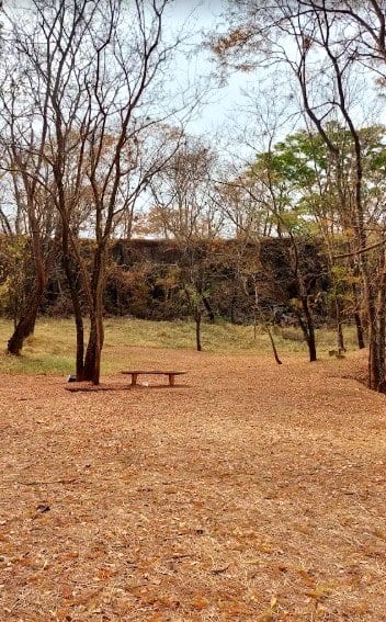 Foto 4 de Parque Curupira