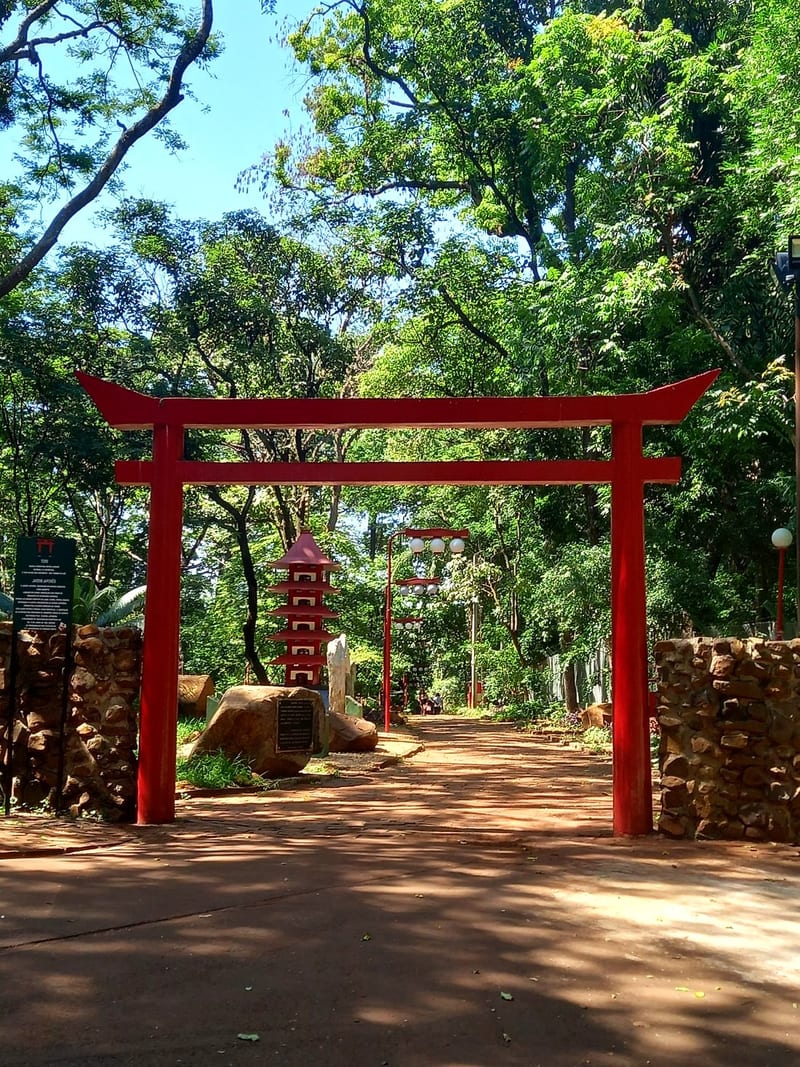 Foto 1 de Bosque Municipal e Zoológico Fábio Barreto