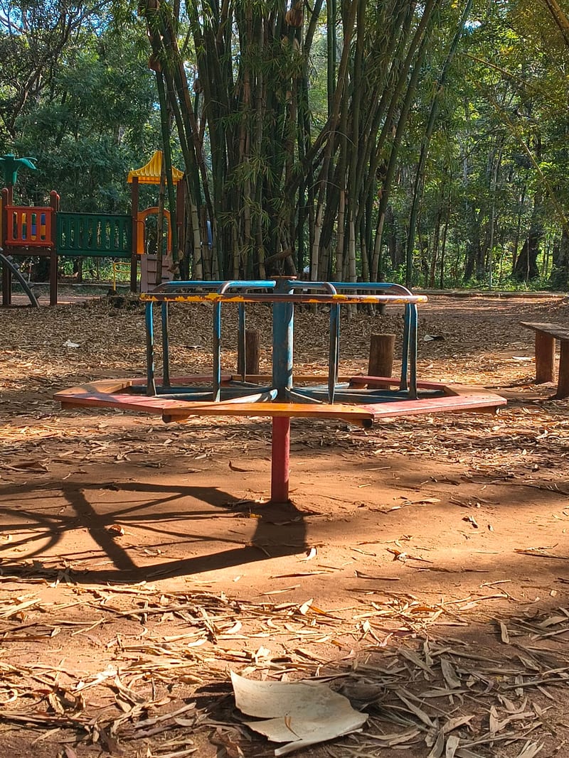 Área kids de Bosque Municipal Dr. Alberto Gaspar Gomes
