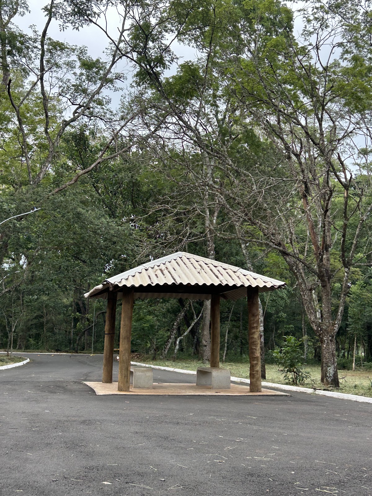 Bosque Municipal Dr. Alberto Gaspar Gomes