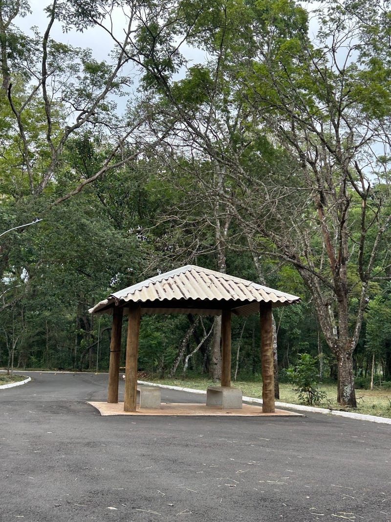 Foto 1 de Bosque Municipal Dr. Alberto Gaspar Gomes