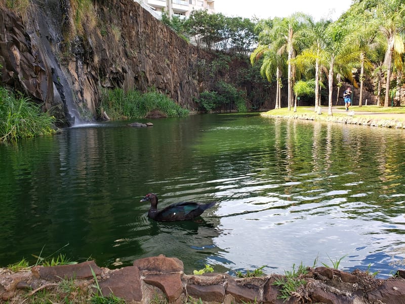 Foto 4 de Parque Municipal Dr. Luis Carlos Raya