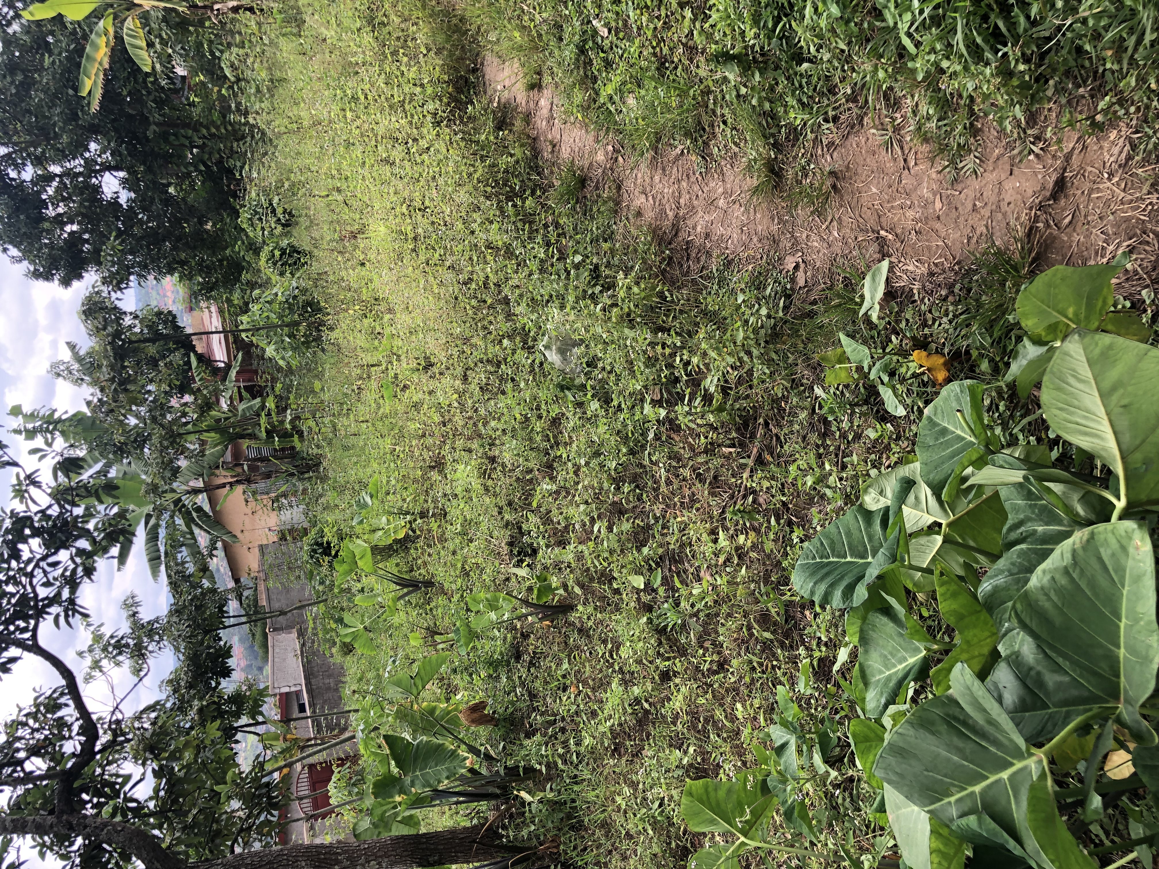 Land in Kicukiro, Kicukiro for Sale
