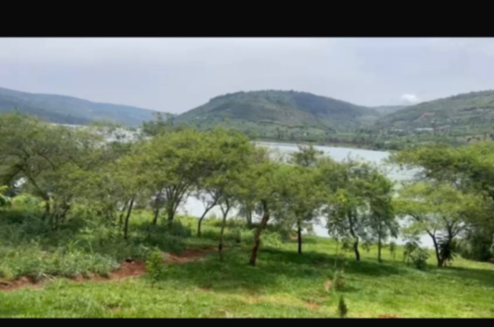 Land in Muhazi, Rwamagana for Sale