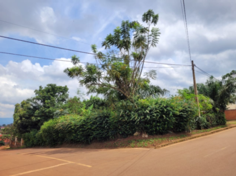 Land in Kimironko, Gasabo for Sale