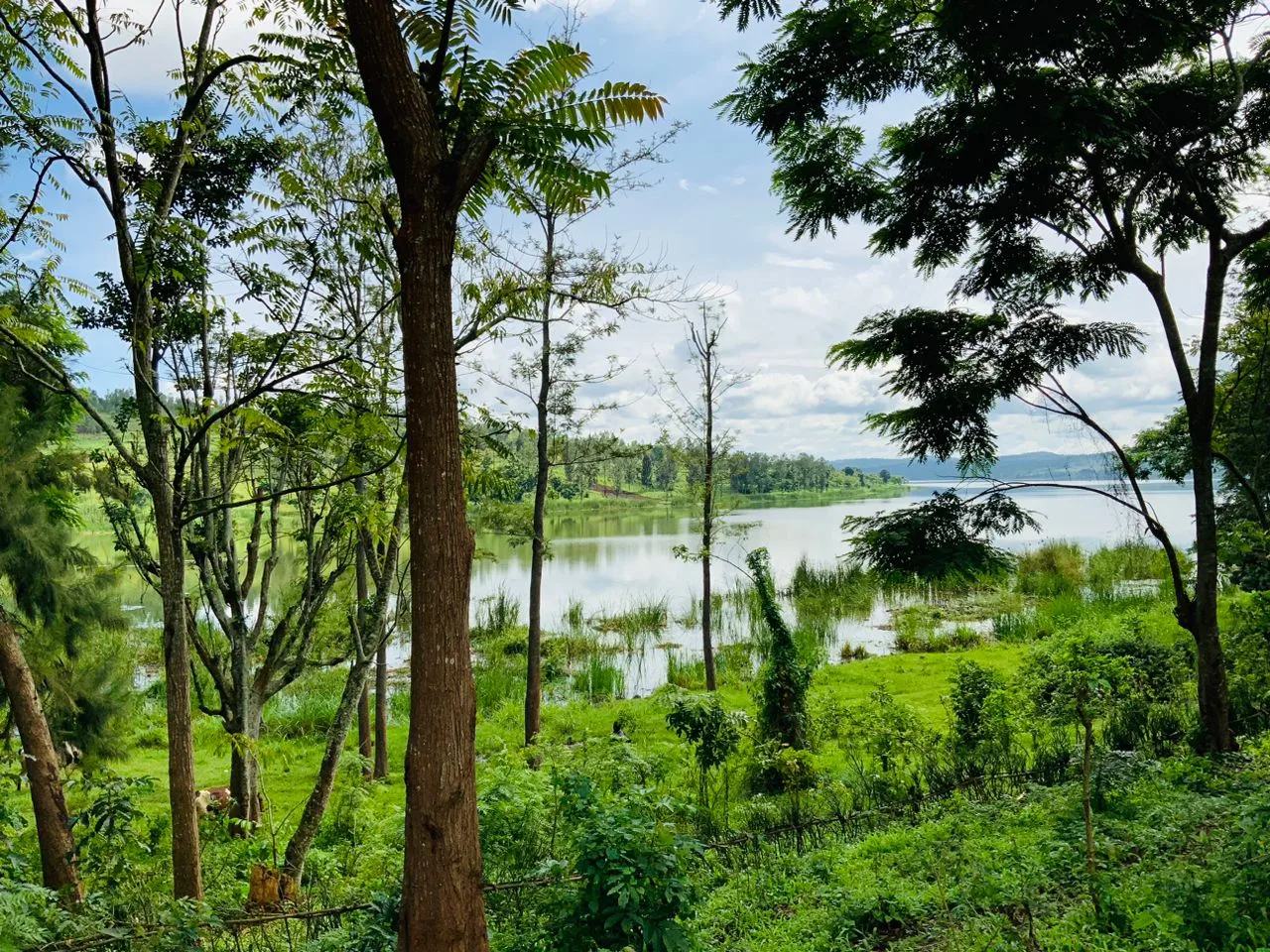 Land in Kamabuye, Bugesera for Sale