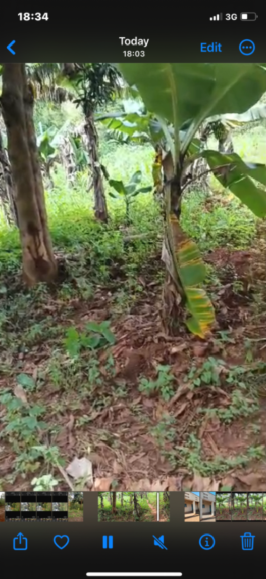 Land in Nduba, Gasabo for Sale