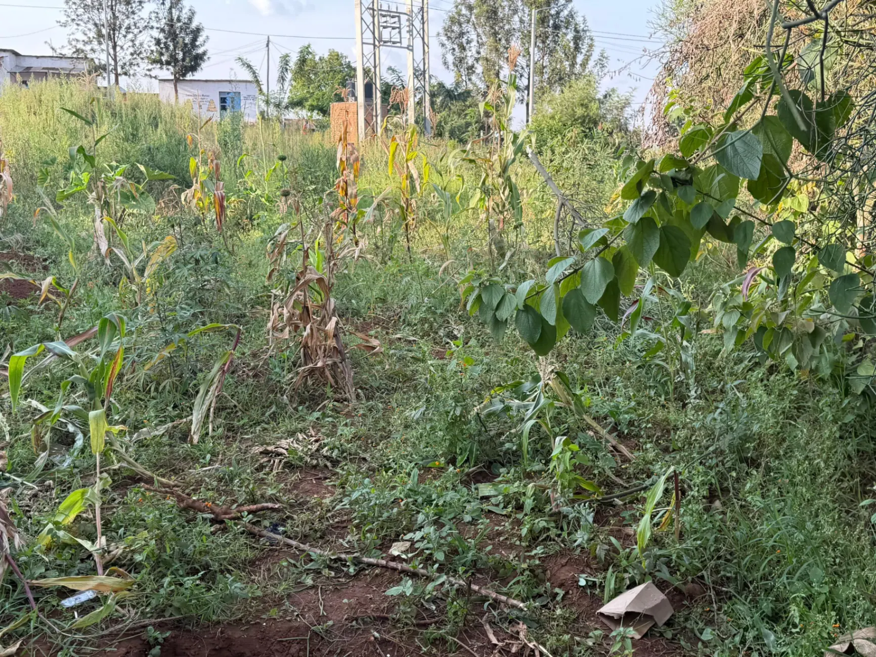 Land in Gatsata, Gasabo for Sale