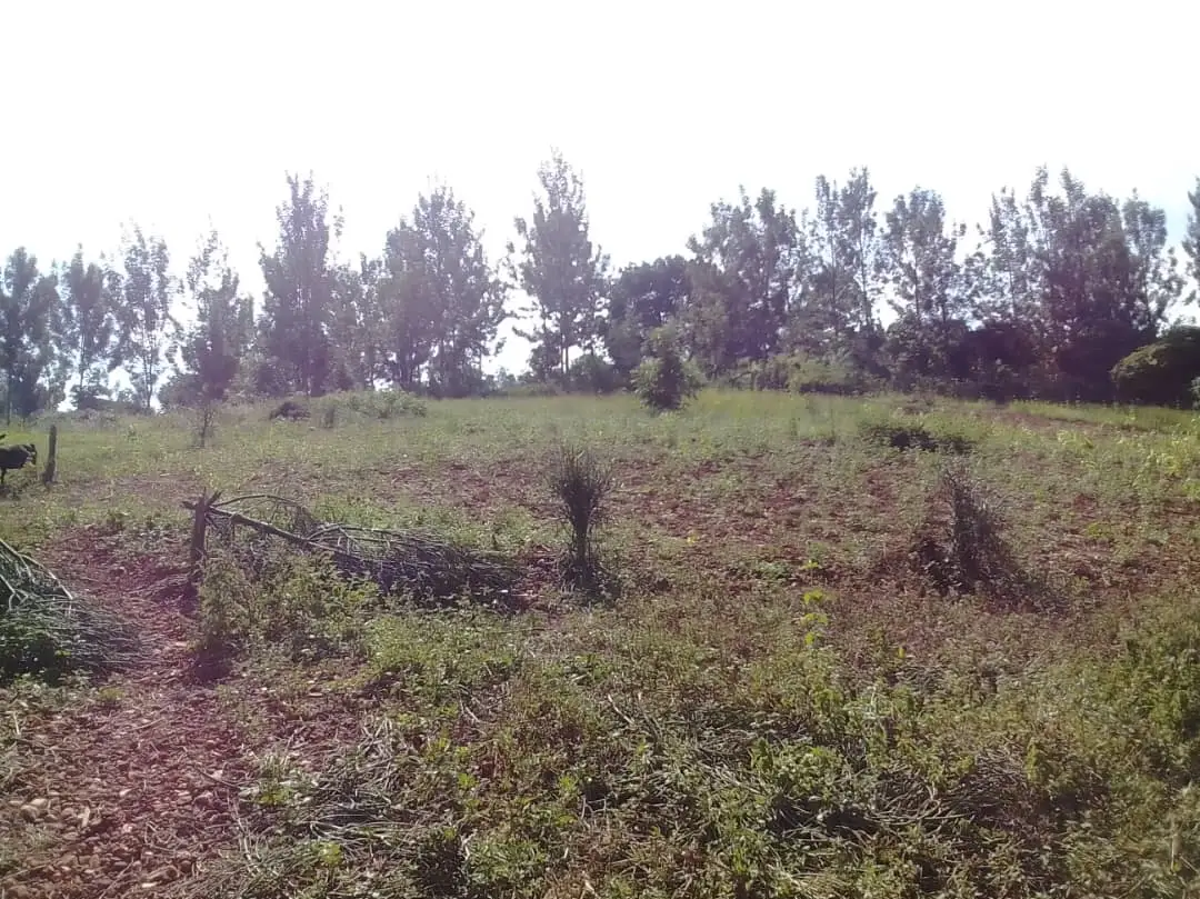 Land in Muyumbu, Rwamagana for Sale