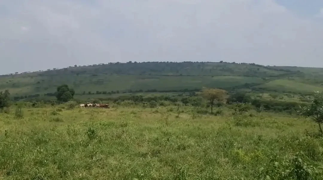 Land in Mwiri, Kayonza for Sale