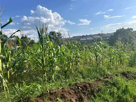 Land in Ndera, Gasabo for Sale