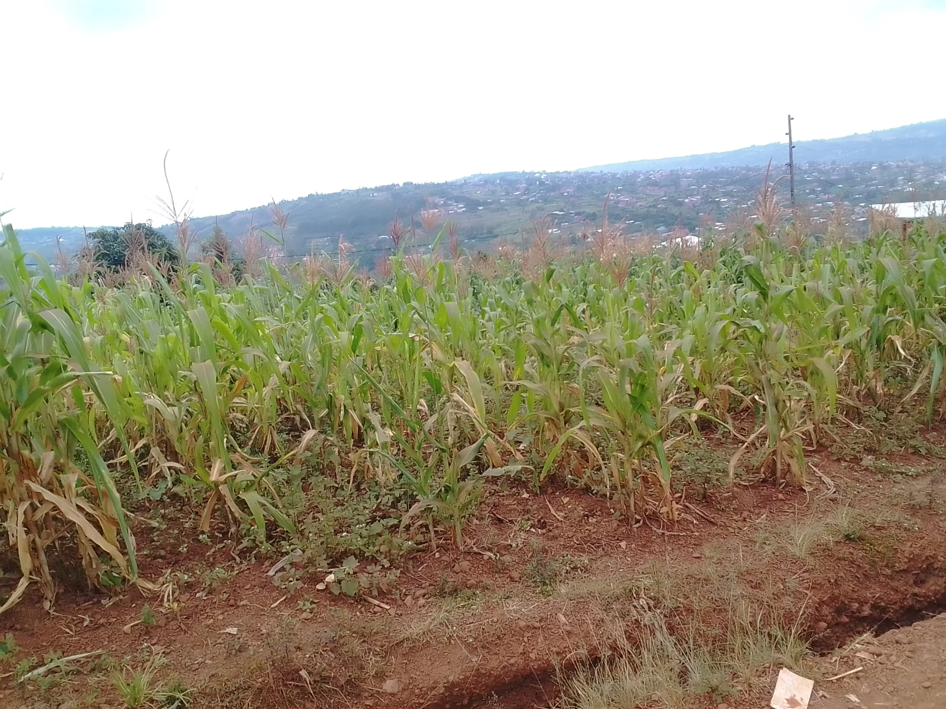 Site in Muyumbu, Rwamagana — From RWF 7,000,000