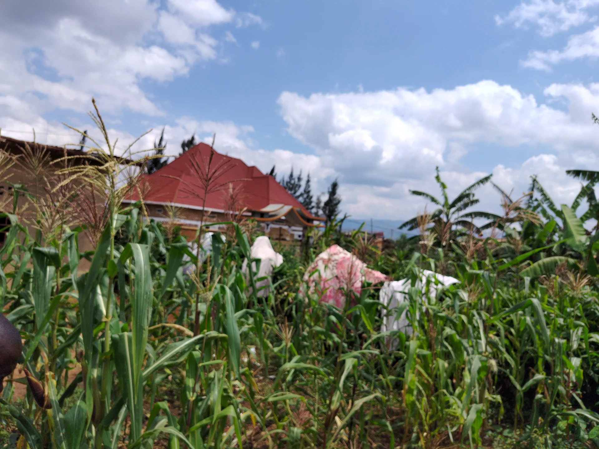 Land in Nduba, Gasabo for Sale