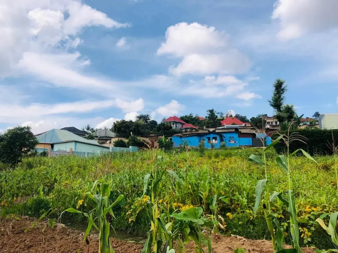 Land in Gisozi, Gasabo for Sale