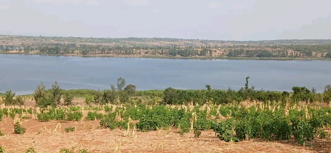 Land in Gashora, Bugesera for Sale
