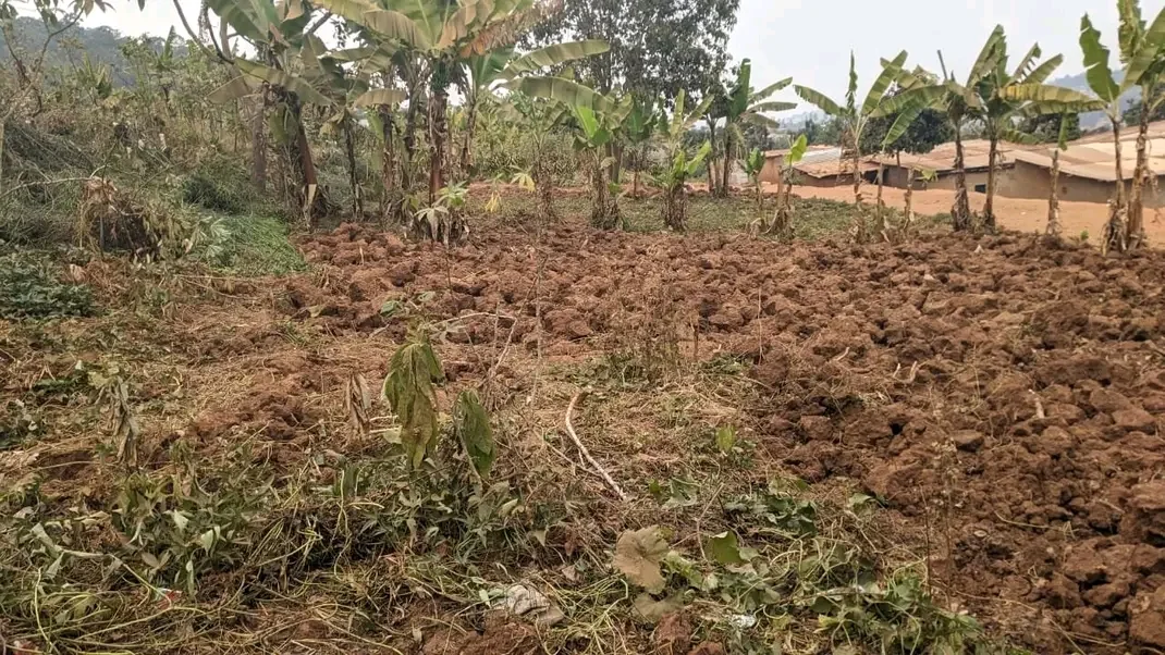 Land in Bumbogo, Gasabo for Sale