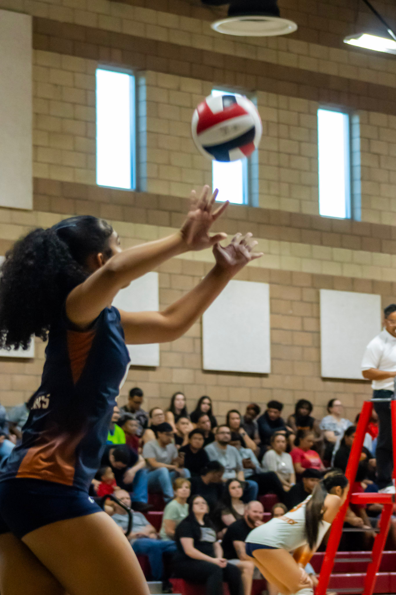 Arial Arial Tertiary Action Photo