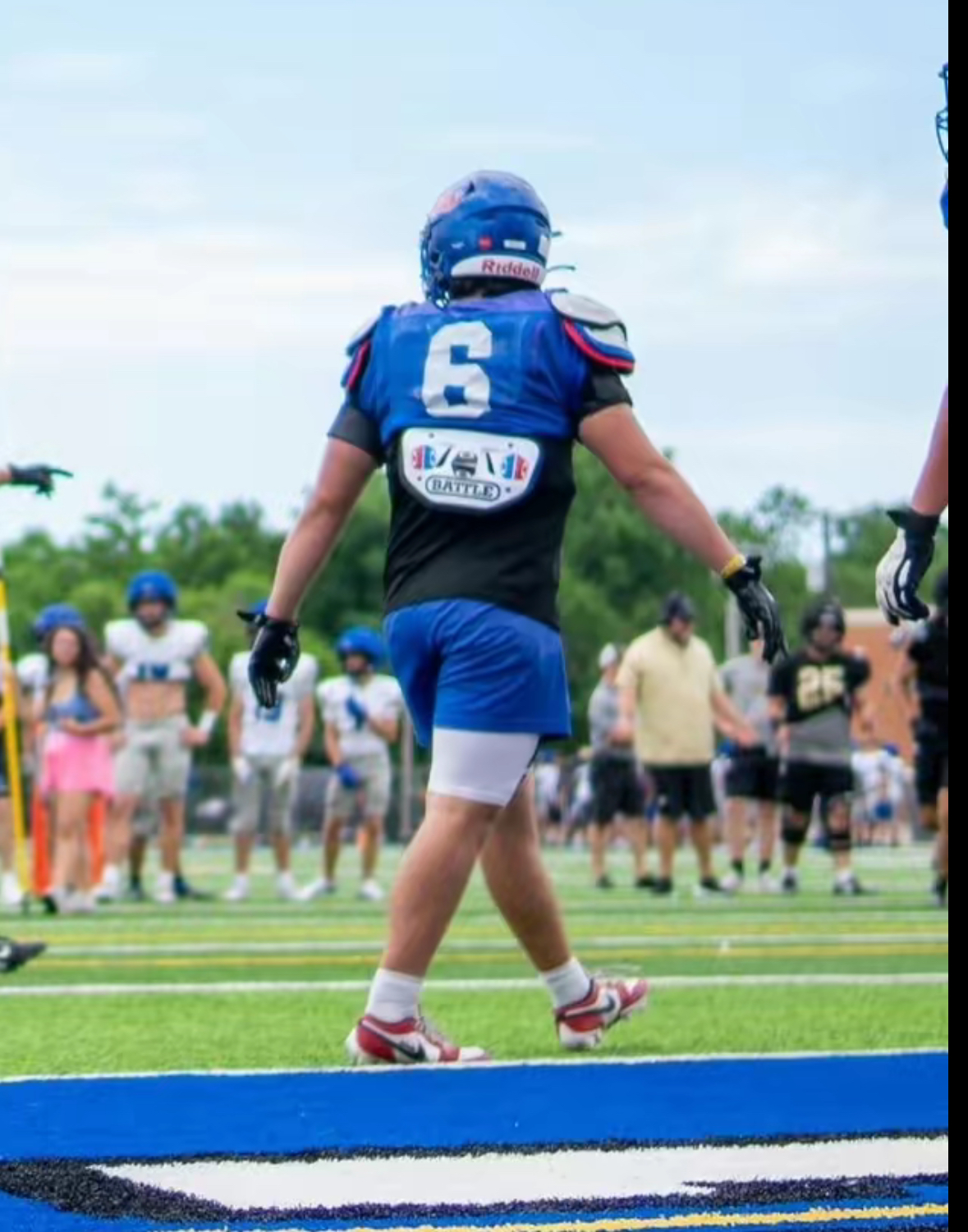 dalton dalton Tertiary Action Photo