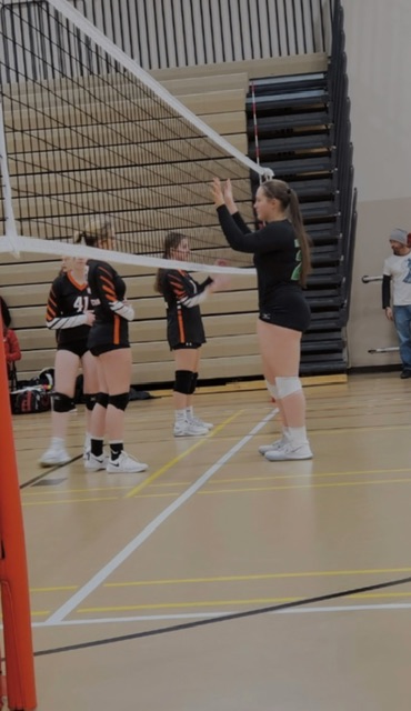 Dana Dana Secondary Action Photo