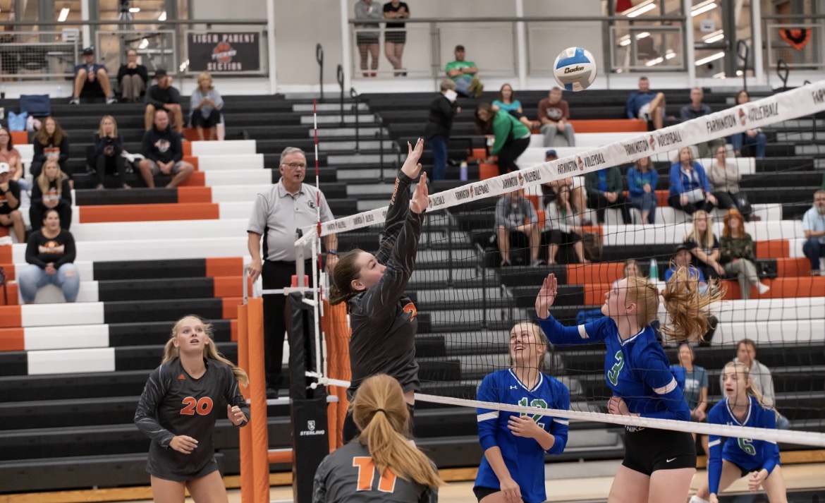 Dana Dana Tertiary Action Photo