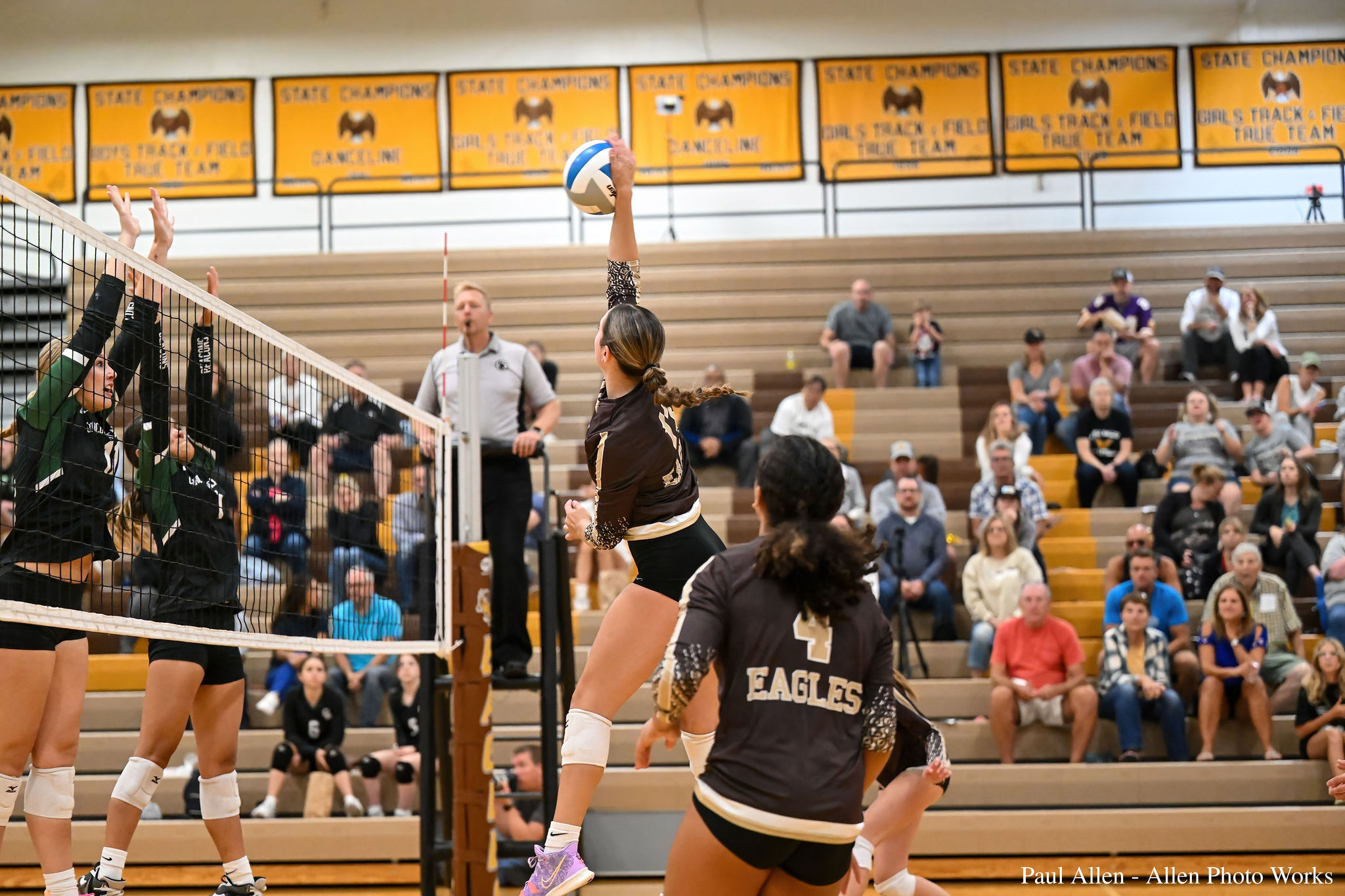 Hannah Hannah Primary Action Photo