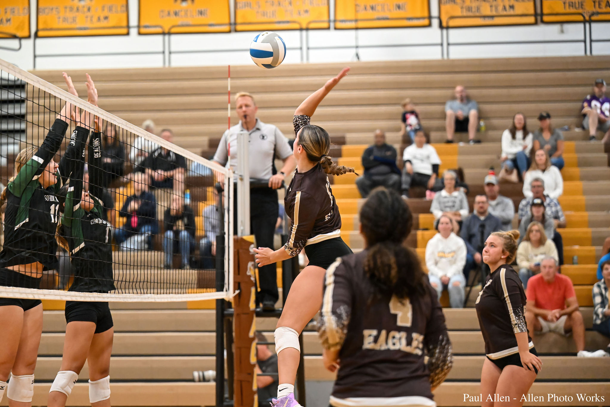 Hannah Hannah Tertiary Action Photo