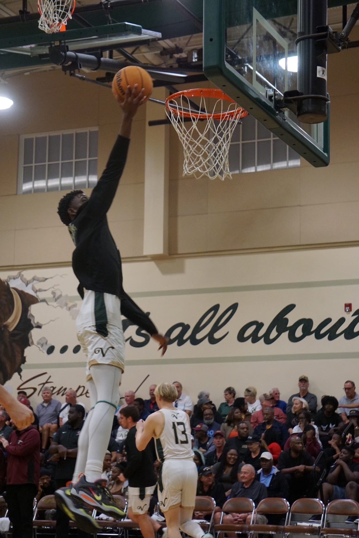 Kymani Kymani Tertiary Action Photo