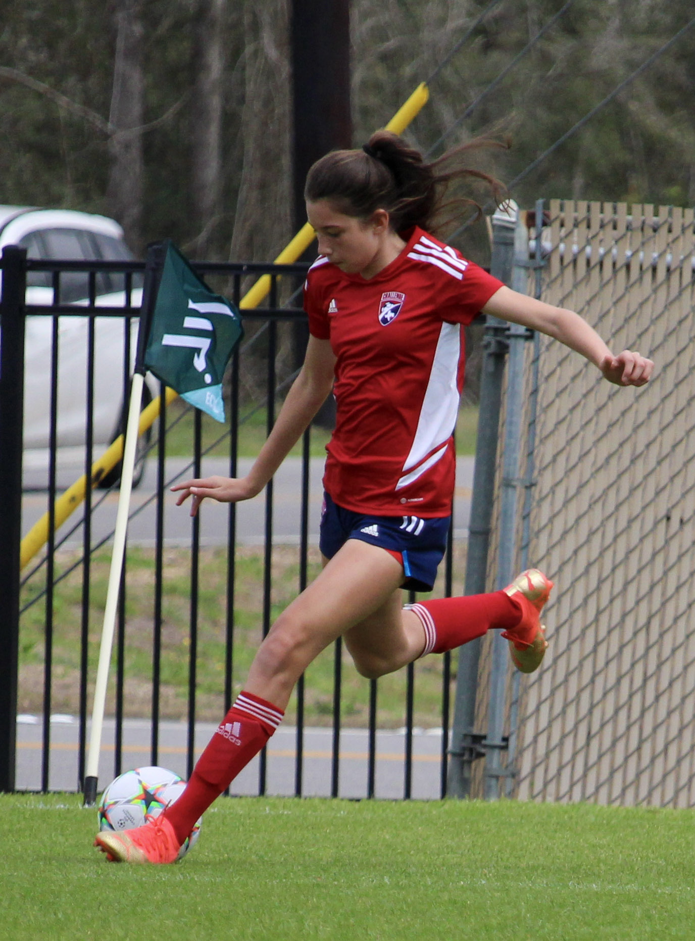 Logan Logan Secondary Action Photo