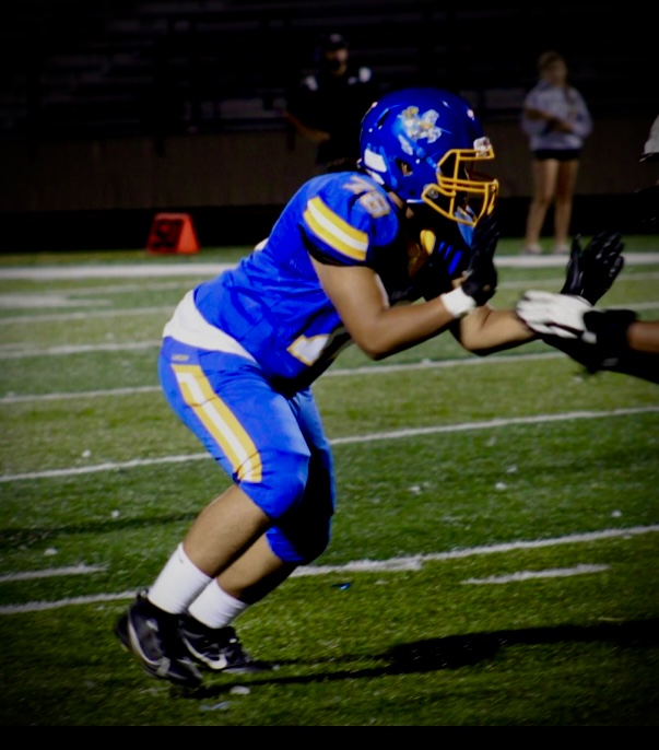 Sincere Sincere Tertiary Action Photo