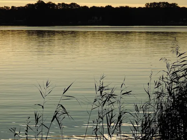 Eichbaumsee an der Dove Elbe