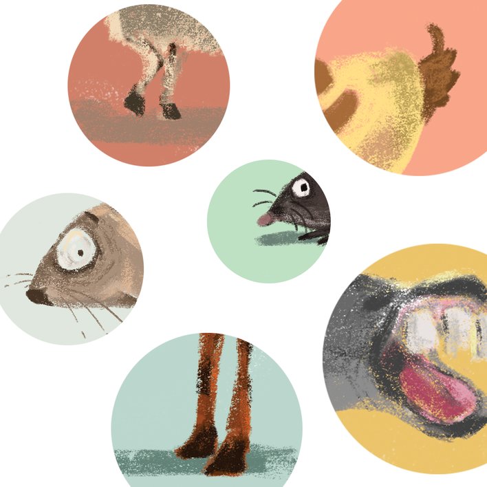 Mi primer libro de animales