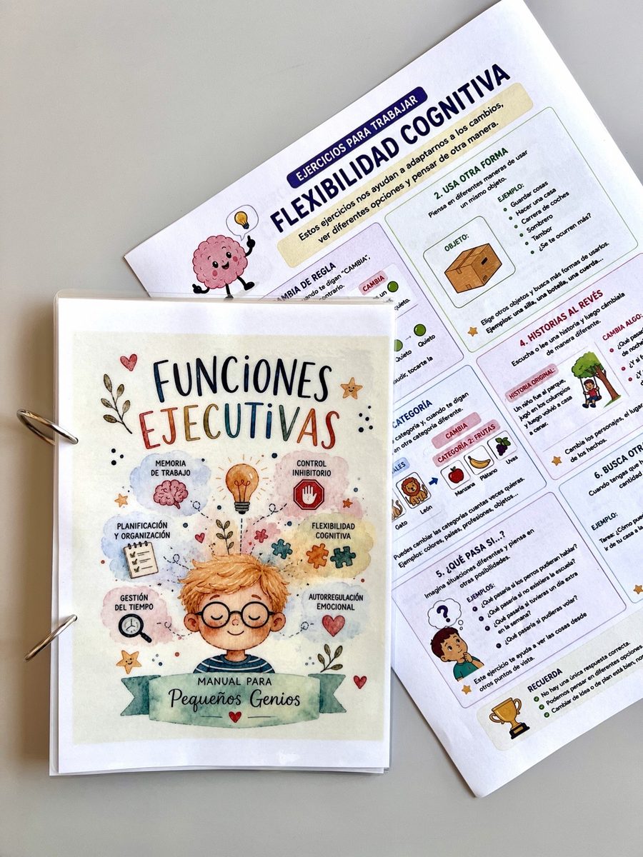 Manual de funciones ejecutivas