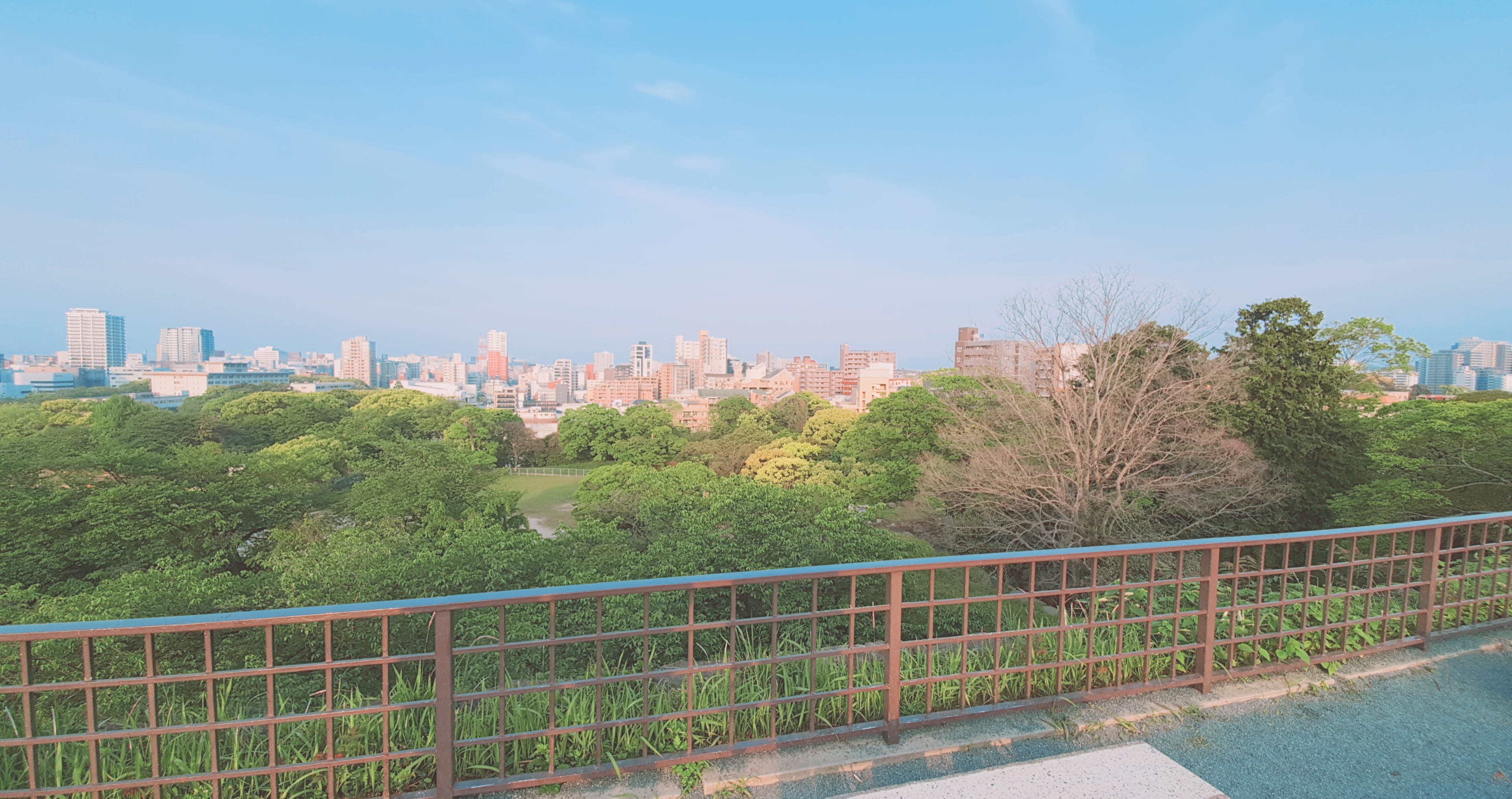 산책1