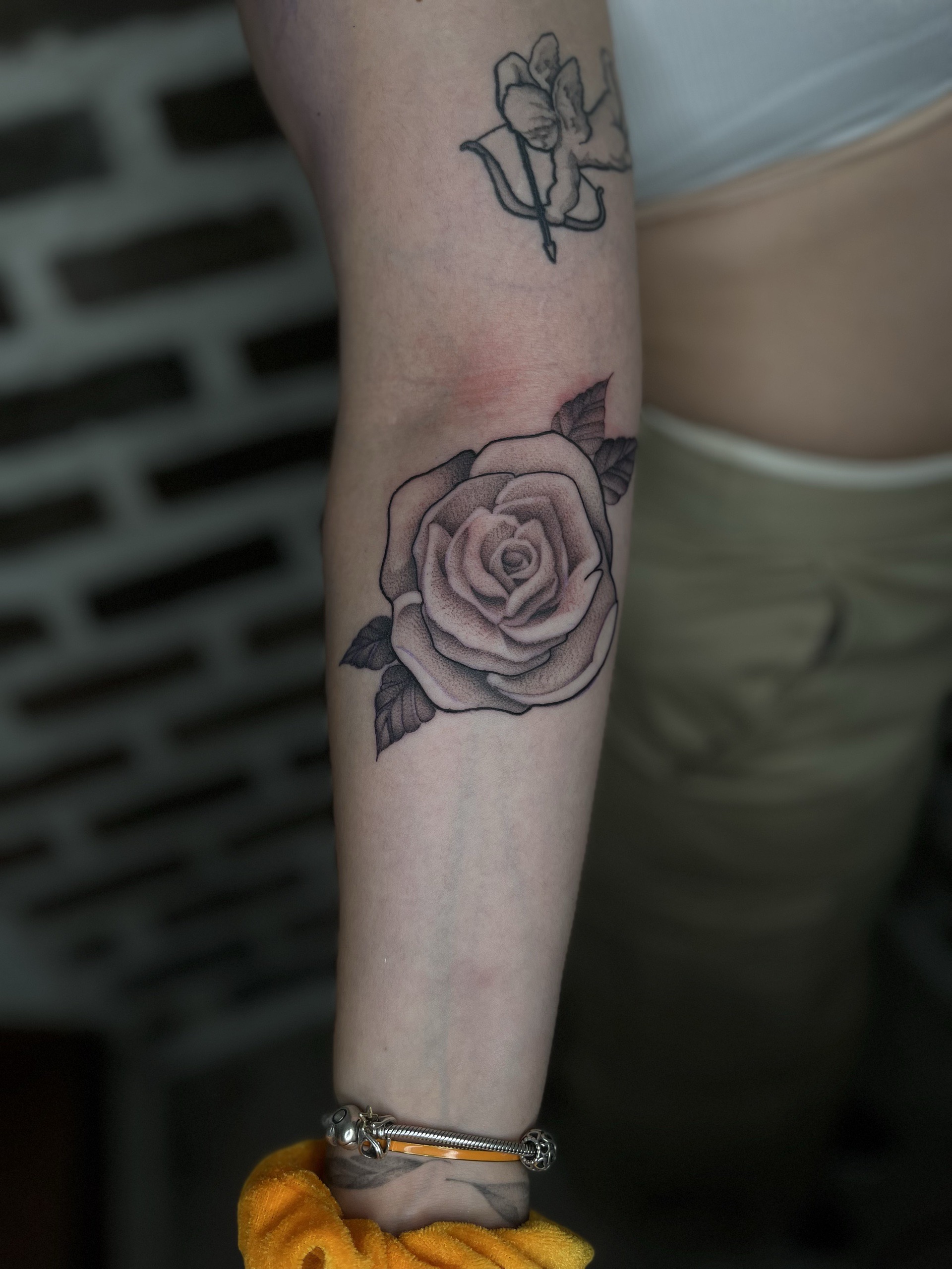 rose en fine line