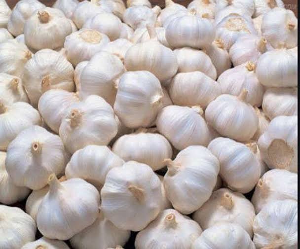 Garlic 