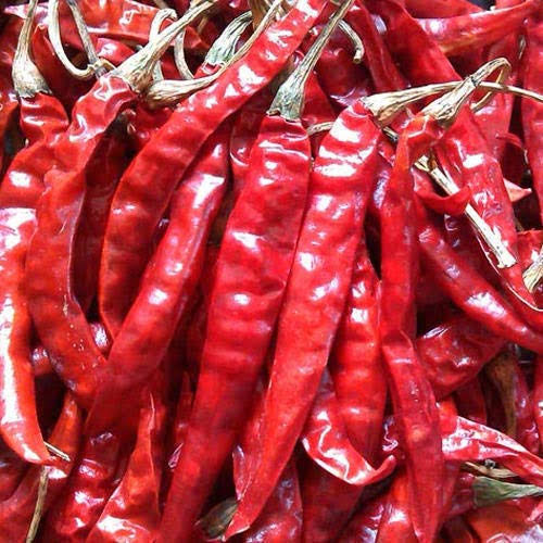 Dry Red Chilli 