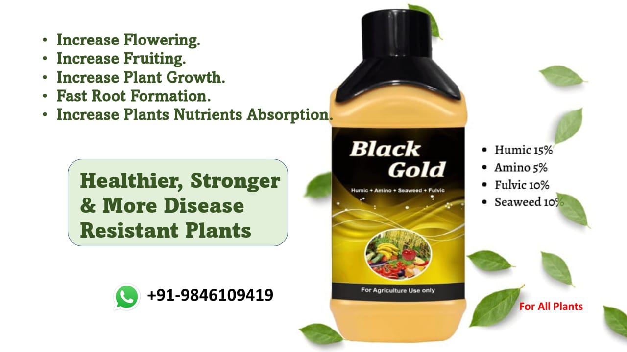 Growth Promotors 
