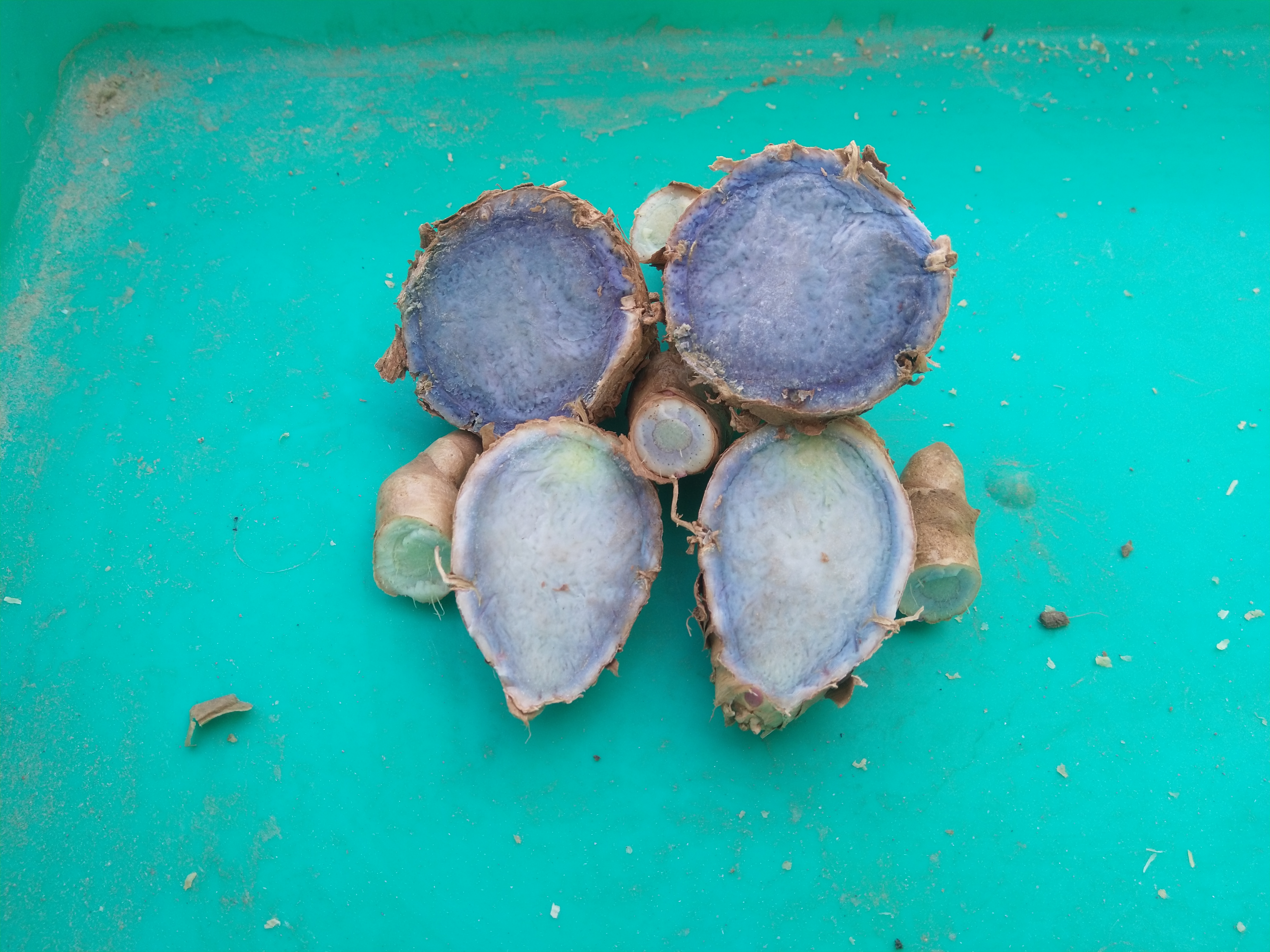 Turmeric 