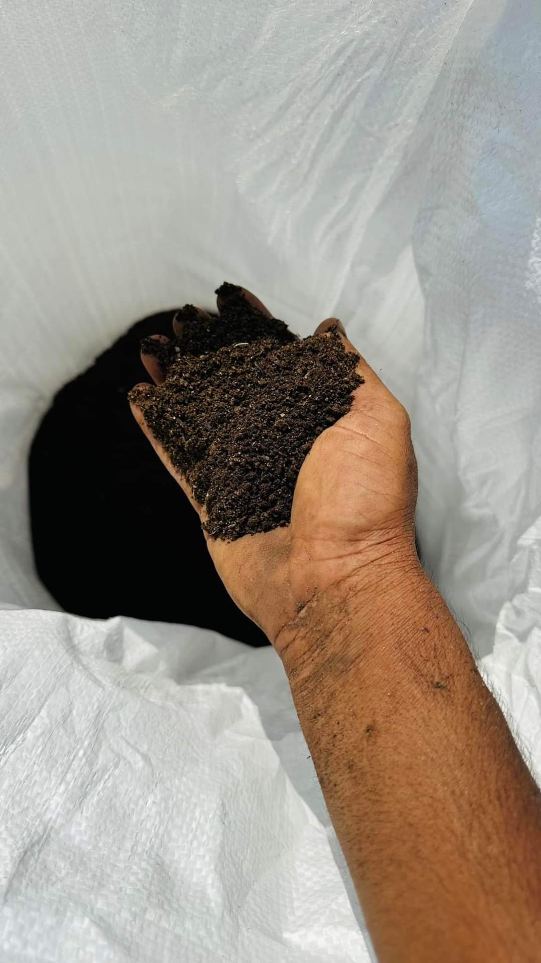 Vermicompost 