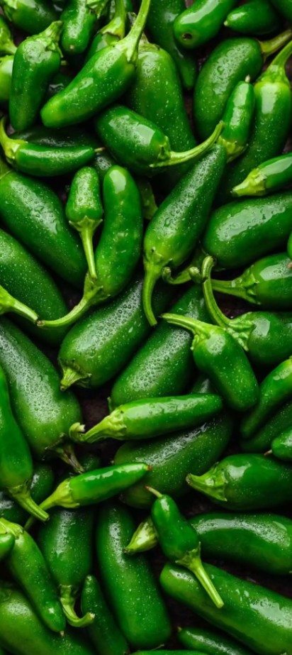 Green Chili 