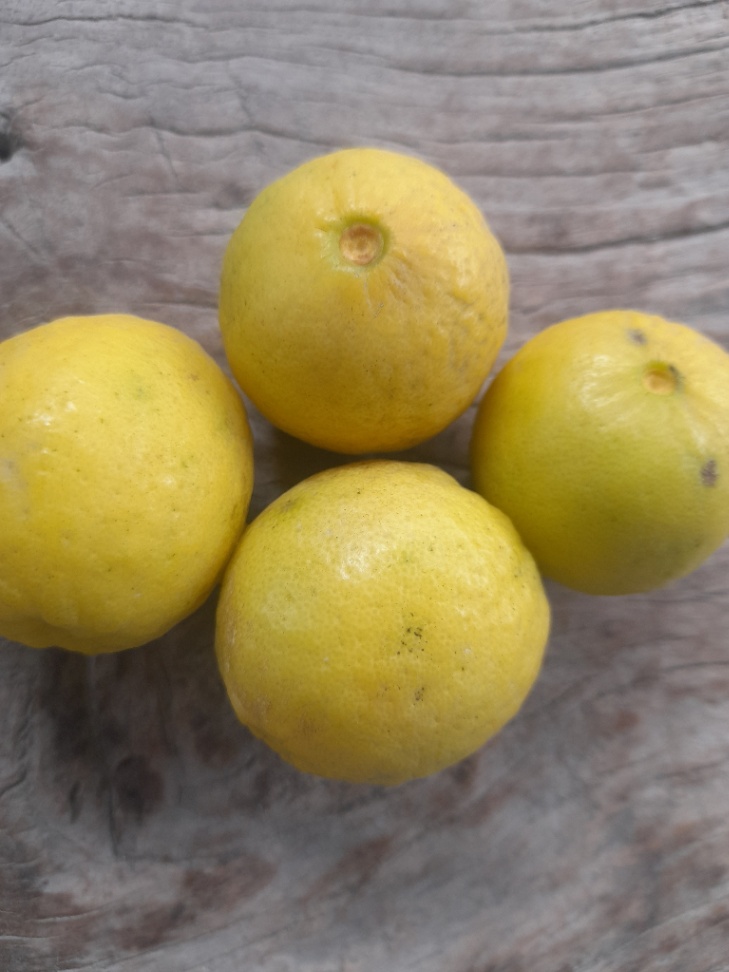 Lemon 