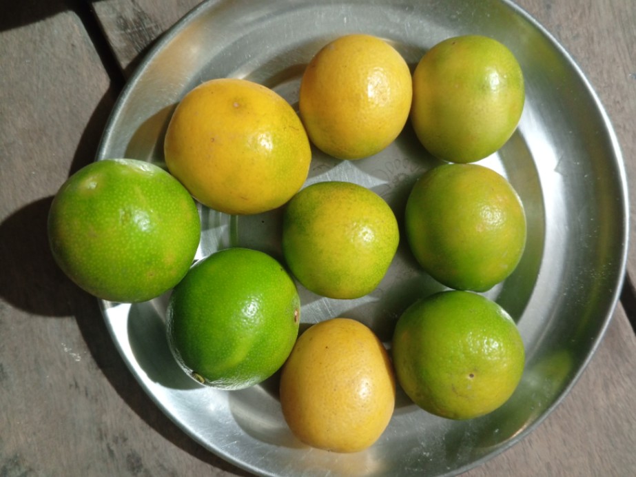Lemon 