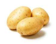Potato 