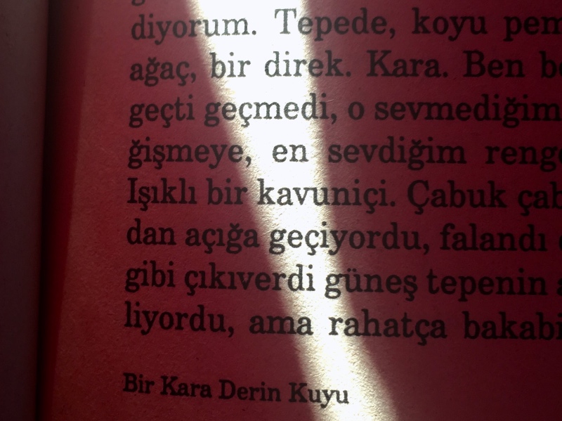 Maria puder