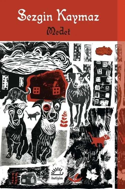 Medet by Sezgin Kaymaz — book cover